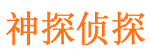 石泉市私家侦探